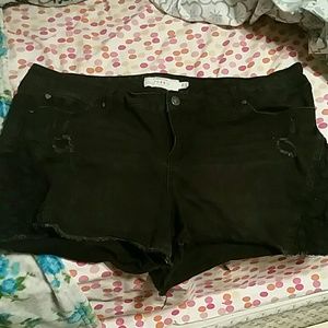 Distressed shorts